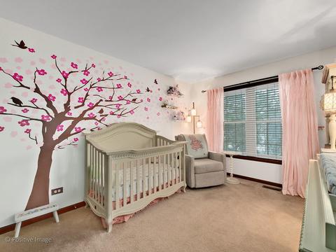 340 Longfellow Dr, Wheaton, IL 60189 photo 24