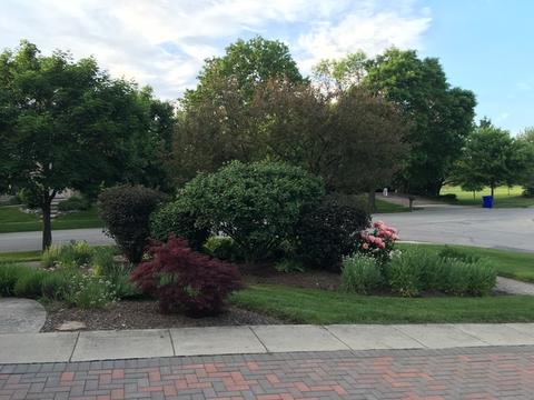 340 Longfellow Dr, Wheaton, IL 60189 photo 2