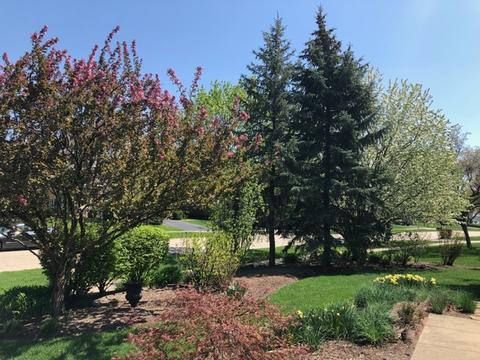 340 Longfellow Dr, Wheaton, IL 60189 photo 30