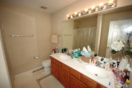 2437 Emily Ln, Elgin, IL 60124 photo 7