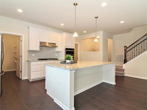 15846 Brookshore Dr, Plainfield, IL 60544 photo 15