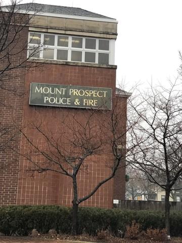 110 E Lincoln St, Mount Prospect, IL 60056 photo 19