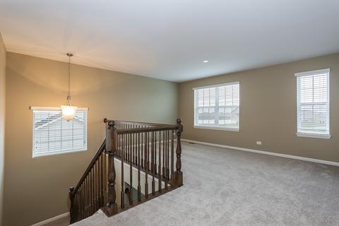 16936 S Lucas Dr, Plainfield, IL 60586 photo 35