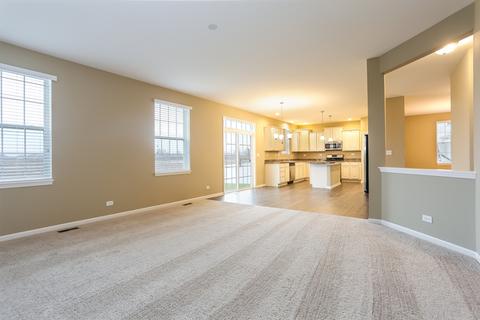 16936 S Lucas Dr, Plainfield, IL 60586 photo 33