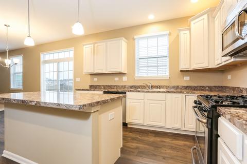 16936 S Lucas Dr, Plainfield, IL 60586 photo 25