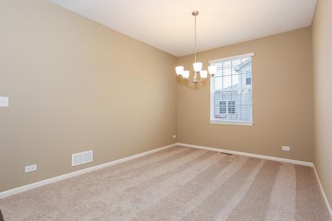 16936 S Lucas Dr, Plainfield, IL 60586 photo 32