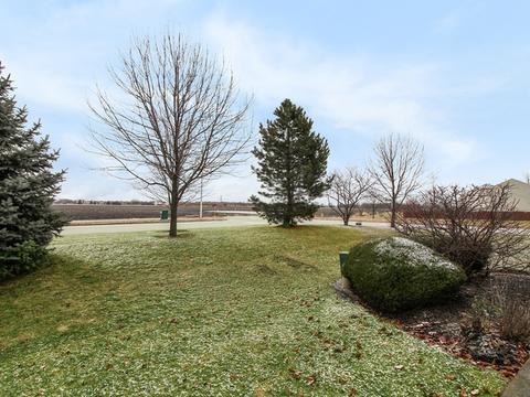 1045 Clover Dr, Minooka, IL 60447 photo 22