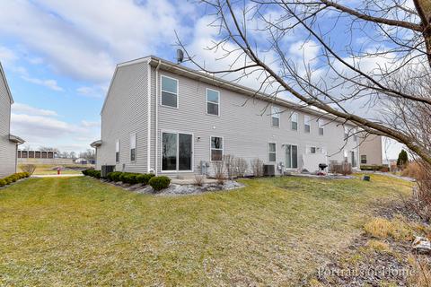 25926 Derby Dr, Monee, IL 60449 photo 16