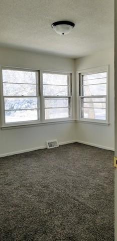105 Franklin St, Georgetown, IL 61846 photo 21