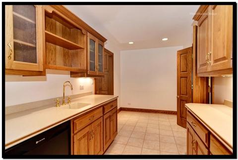 8206 Kathryn Ct, Burr Ridge, IL 60527 photo 10
