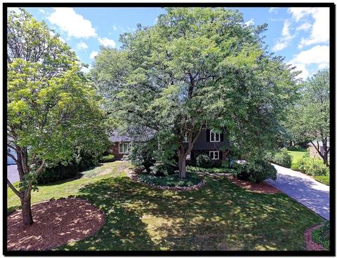 8206 Kathryn Ct, Burr Ridge, IL 60527 photo 47