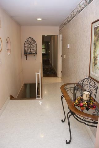 16860 Tanglewild Dr, Morrison, IL 61270 photo 30