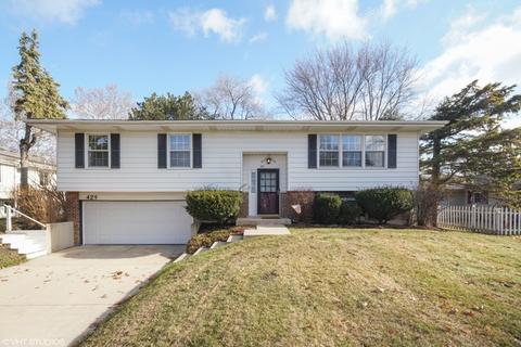 429 Eagle View Dr, Carol Stream, IL 60188 photo 1