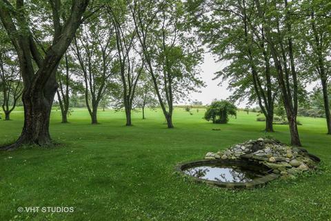 6663 W Dralle Rd, Monee, IL 60449 photo 19