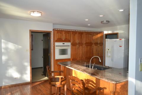 6663 W Dralle Rd, Monee, IL 60449 photo 5