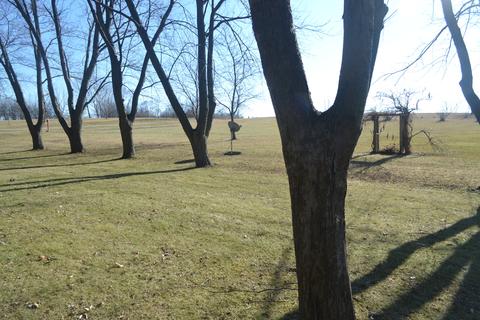 6663 W Dralle Rd, Monee, IL 60449 photo 20