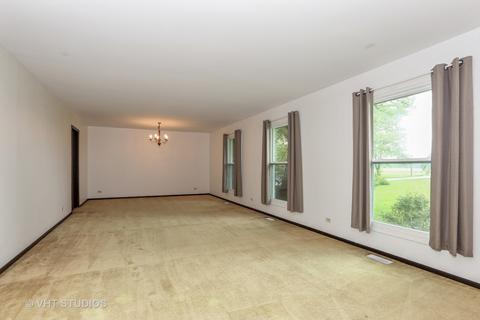 6663 W Dralle Rd, Monee, IL 60449 photo 3