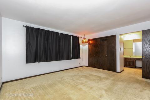 6663 W Dralle Rd, Monee, IL 60449 photo 8