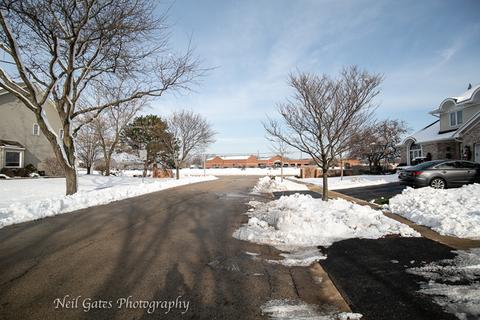 204 Windsor Dr, Bartlett, IL 60103 photo 40