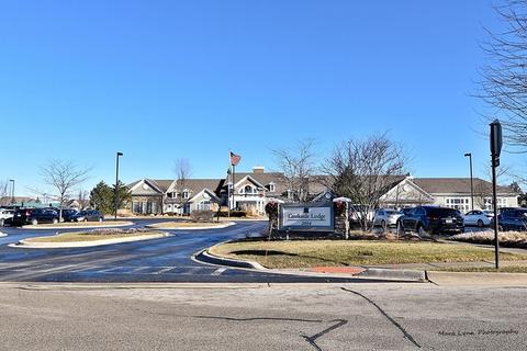 2807 Cascade Falls Cir, Elgin, IL 60124 photo 20