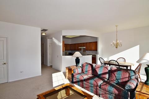2807 Cascade Falls Cir, Elgin, IL 60124 photo 4