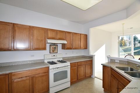 2807 Cascade Falls Cir, Elgin, IL 60124 photo 7