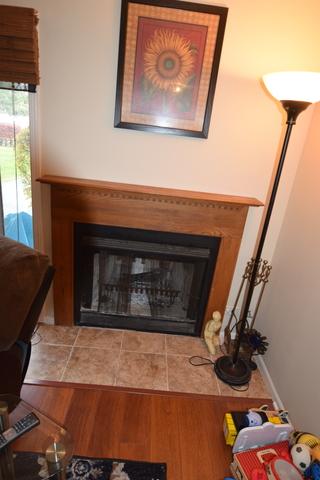 511 Nicole Dr #D, Bartlett, IL 60103 photo 5