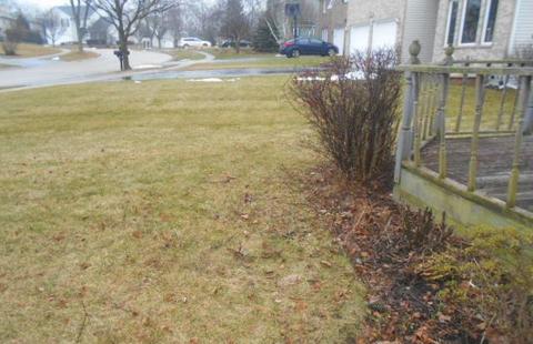 289 Windsor Dr, Bartlett, IL 60103 photo 5