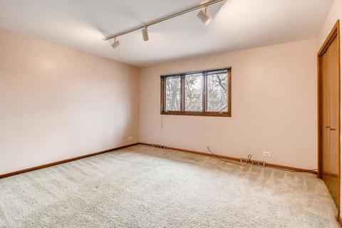 786 E Gartner Rd, Naperville, IL 60540 photo 23