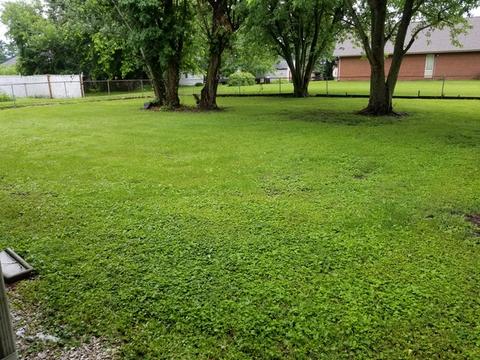 300 W 14th St, Georgetown, IL 61846 photo 15