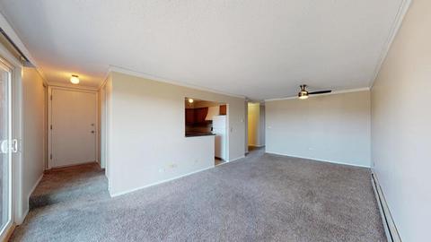 301 Gregory St #10, Aurora, IL 60504 photo 5