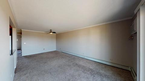 301 Gregory St #10, Aurora, IL 60504 photo 6