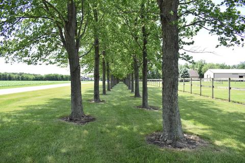 105 S Campbell Rd, Mazon, IL 60444 photo 52