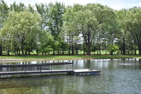105 S Campbell Rd, Mazon, IL 60444 photo 6