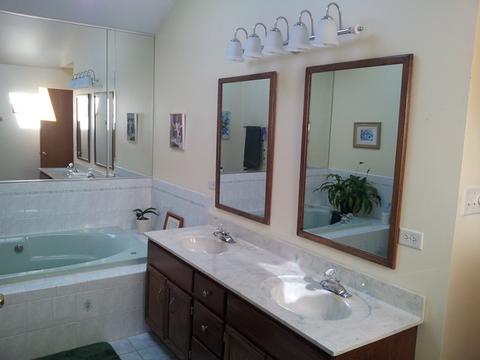 7228 W James Ln, Monee, IL 60449 photo 14