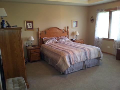 7228 W James Ln, Monee, IL 60449 photo 12