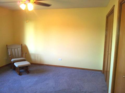 7228 W James Ln, Monee, IL 60449 photo 16
