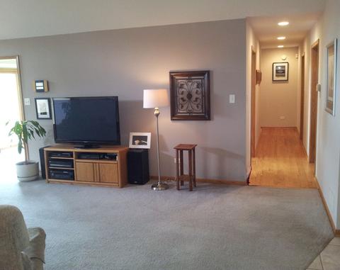 7228 W James Ln, Monee, IL 60449 photo 8