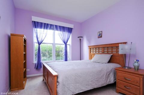11325 S Marathon Ln, Plainfield, IL 60585 photo 8