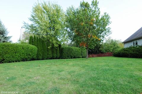 11325 S Marathon Ln, Plainfield, IL 60585 photo 12