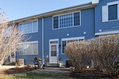 5414 Teaberry Ct, Rolling Meadows, IL 60008 photo 10