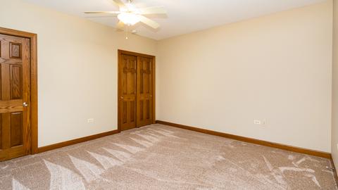 16043 Hometown Dr, Plainfield, IL 60586 photo 54