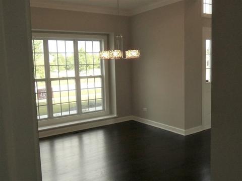12124 Winterberry Ln, Plainfield, IL 60585 photo 6