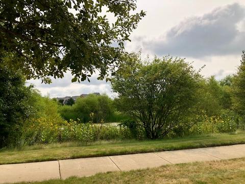 3058 Seekonk Ave, Elgin, IL 60124 photo 35