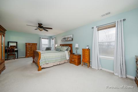 16315 Spring Creek Ln, Plainfield, IL 60586 photo 14