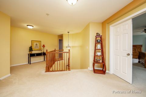 16315 Spring Creek Ln, Plainfield, IL 60586 photo 12