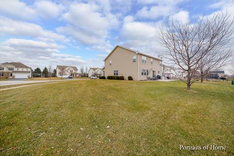 16315 Spring Creek Ln, Plainfield, IL 60586 photo 25