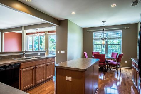 2451 Sandy Stream Ln, Elgin, IL 60124 photo 4