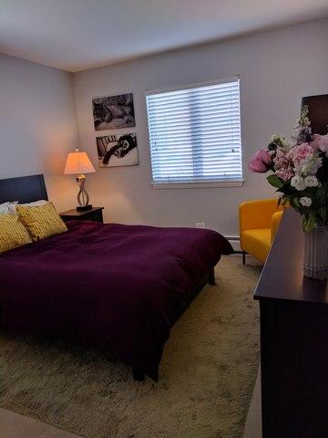 1250 E Washington St #1, Des Plaines, IL 60016 photo 12