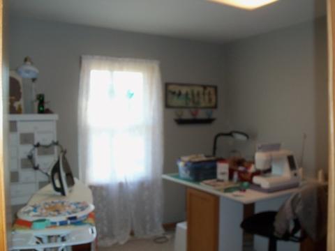 3630 School Dr, Morris, IL 60450 photo 15